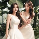 에이미하우스 이미지