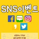파파손케어 이미지