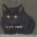 성은빌 이미지