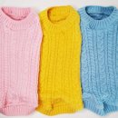 댕댕이,봄 이미지