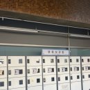 태양의 화가 반고흐 레플리카전 | [빈센트 반 고흐 레플리카전] 후기, 리뷰, 오픈안내