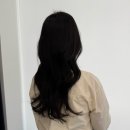 부활미용실 | 삼전역 미용실 추천/ 원노브 미용실 아윤채 클리닉 받고 머릿결 부활하고온 후기 (+레이어드컷)