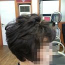 엠스헤어 - 전주시 덕진구 세병로 137 | 엠스헤어