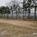 군포대야초등학교 이미지