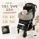 펫뮤즈 | 강아지 유모차 추천 가성비 끝판왕 인뮤즈 댕모차 퀄리티 말해뭐해