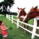 고양누리길 3코스 서삼릉누리길 이미지
