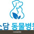 소담동물병원 네이버블로그