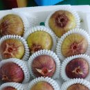 덕곡주유소 이미지