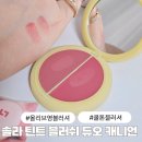 영솔라 | 올리브영 블러셔 쿨톤 추천 시미헤이즈뷰티 솔라 틴트 블러쉬 듀오 기획 세트 캐니언 컬러 후기