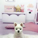 츄펫살롱 이미지