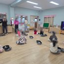 원일초등학교 이미지