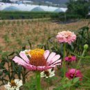 성모농장 이미지