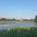 일왕삼거리 만석공원 이미지