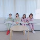 오션스테이 D 이미지