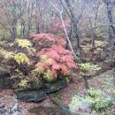 약수골 농장 이미지