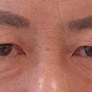 라이블리성형외과의원 이미지