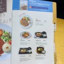 국수나무 이미지