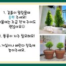 삼육라이튼어린이집 이미지