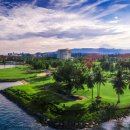 퍼시픽 티지 이미지