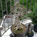 소사는집 이미지