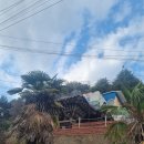 산호동530 이미지