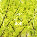 사운드앤뮤직 (SOUND N MUSIC)