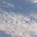 하늘체육관 이미지