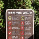 애영동행