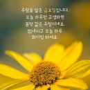 1월 3일 금요일 미래 정 대문을 활짝 열어봅니다. 이미지