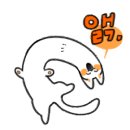 모이커피클래식
