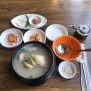 닭날선보는날 | 사상 7천원 삼계탕 '닭선보는날' 솔직후기