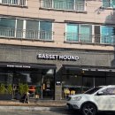바셋하운드 | [💳내돈내산] 진해 석동 베이커리 카페 '바셋하운드'🥐 솔직 후기