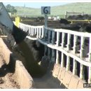 소들한의원 이미지