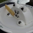 멍냥다이닝 이미지