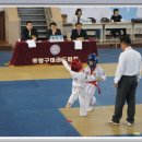 화정태권도 이미지