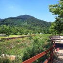 연산황산벌 오토캠핑장 티스토리