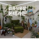 몬테가든 이미지