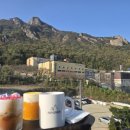 달콤한 오후 이미지