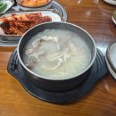 문곰탕 | [왕골남서문장작불곰탕] 화성 남양 곰탕 맛집 다녀온 후기