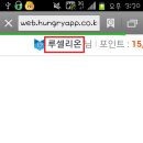 루셀리 이미지