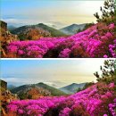 거제시티투어㈜ | 거제도 여행 봄,여름,가을,겨울 中 최고는 봄과 여름 남쪽나라 봄꽃여행 절정 거제도(巨濟島)