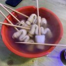철수꼬지