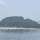 싸리섬 Daum백과
