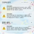 영암미소 | 영암 ? 영암은 무화과가 맛있는데