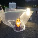 단성생활체육공원 이미지