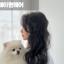 진이헤어아트
