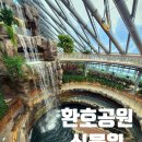 양덕동581 이미지