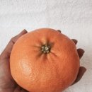 영부농장 이미지