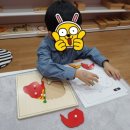 스콜라몬테소리 이미지