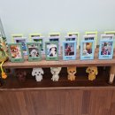 업독라이프 이미지